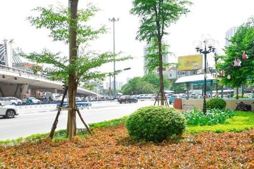Hà Nội: Duy trì cảnh quan tuyến đường Vành đai 2 sạch đẹp