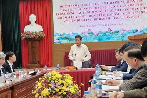 Phó Chủ tịch Thường trực UBND thành phố Dương Đức Tuấn giám sát tại xã Kiều Phú