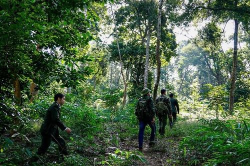 Nâng cao chất lượng, bảo tồn hệ sinh thái rừng và phòng, chống thiên tai