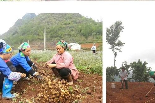 Kỳ 2: Giảm nghèo bền vững – từ ý chí người dân và nguồn lực Nhà nước