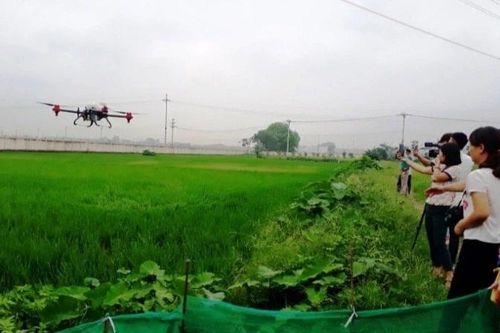 Nông nghiệp bền vững từ sử dụng thuốc bảo vệ thực vật đúng cách