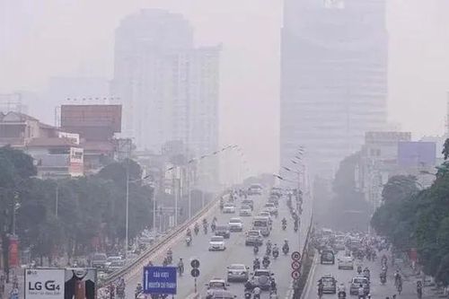 Đừng để 'mất bò mới lo làm chuồng'