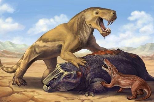 Răng nanh khủng khiếp của loài thú to lớn lâu đời hơn khủng long