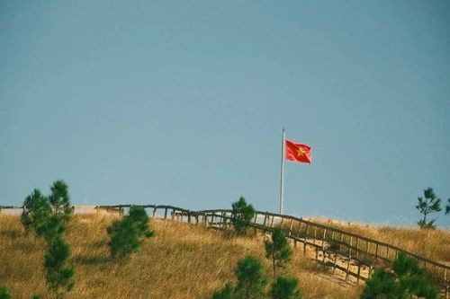 Ngỡ ngàng trước những đồi cỏ cháy đẹp mê hoặc ở Quảng Ninh
