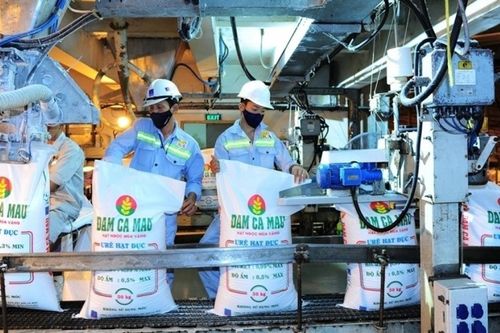 Nâng cao sức cạnh tranh cho doanh nghiệp ngành Sơn phủ, Giấy, Cao su, Nhựa và Hóa chất Việt Nam
