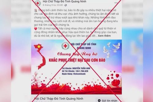 'Lũ dữ' trên không gian mạng