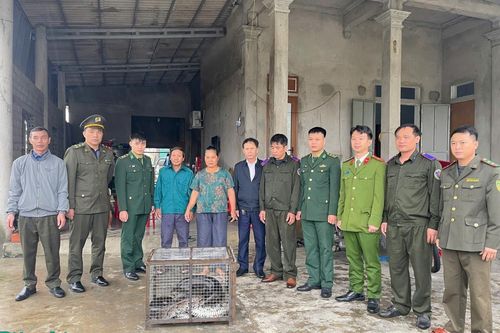Bàn giao cá thể trăn đất 37kg về môi trường tự nhiên