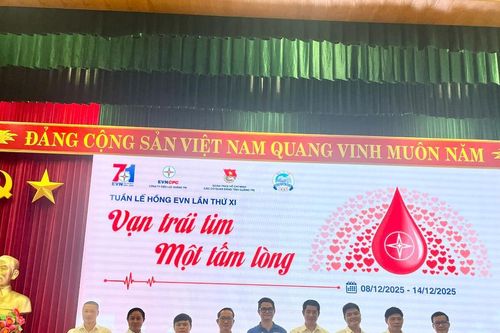 Thủy điện Quảng Trị: Hưởng ứng 'Tuần lễ hồng' EVN lần thứ XI