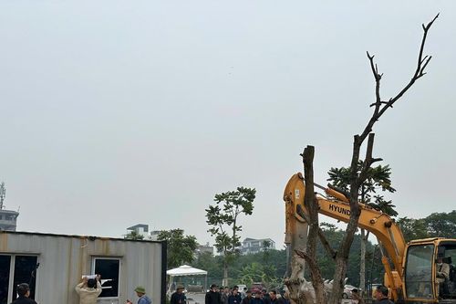 Hà Nội: Cưỡng chế công trình vi phạm tại phường Bồ Đề