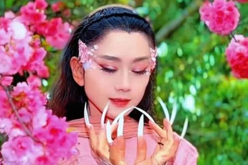 Giá vé cao 20 triệu đồng, đêm diễn của Dương Lệ Bình tại Hà Nội gây tranh cãi