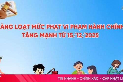 Hàng loạt mức phạt vi phạm hành chính tăng mạnh từ 15/12/2025