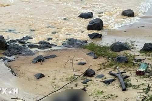 Phát hiện thi thể nam giới trôi dạt vào bờ biển Quảng Ngãi