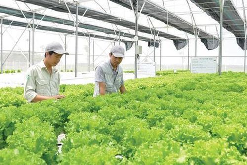 Thực phẩm Hồng Hà chi hàng chục tỷ đồng thâu tóm 2 công ty