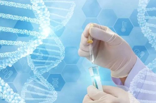 Vụ di truyền gây sốc châu Âu: 197 trẻ cùng nguồn gốc, 67 mắc ung thư vì một gene hiếm