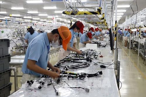 153 dự án kêu gọi đầu tư vào khu công nghiệp, khu kinh tế tại Vĩnh Long