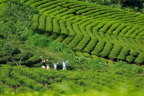 Những địa điểm nức tiếng ở Đà Lạt nên ghé trong dịp Tết Dương lịch 2026