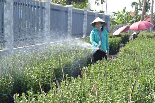 Vĩnh Long: Hiệu quả trong thực hiện giảm nghèo bền vững ở Chợ Lách