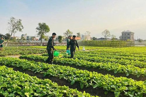 Thi đua Quyết thắng trong lực lượng vũ trang tỉnh: Gắn công tác xây dựng Đảng và học tập, làm theo Bác