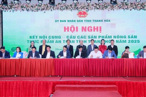 Kết nối cung - cầu các sản phẩm nông sản, thực phẩm an toàn tỉnh Thanh Hóa năm 2025