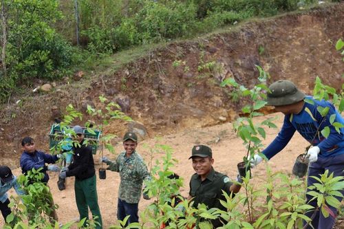 Triển khai hiệu quả đề án trồng cây xanh, hướng đến đô thị sinh thái