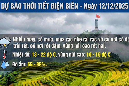 Bản tin Dự báo thời tiết ngày 12/12/2025