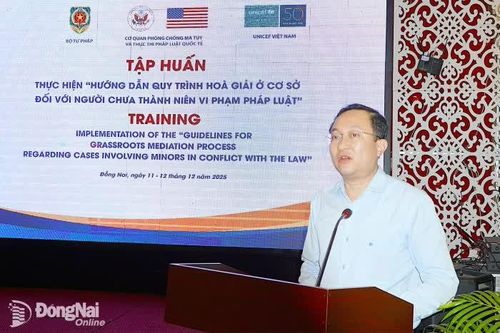 8 tỉnh, thành tham gia tập huấn hòa giải ở cơ sở đối với người chưa thành niên vi phạm pháp luật tại Đồng Nai