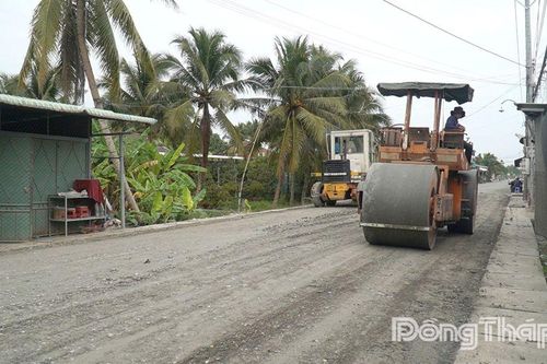 Đồng Tháp: Chi hơn 242 tỷ đồng duy tu, sửa chữa đường bộ, đường thủy