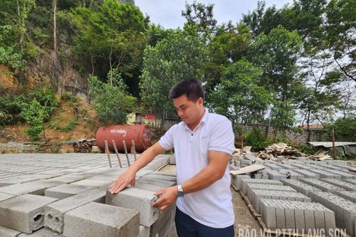 Anh San giỏi làm kinh tế