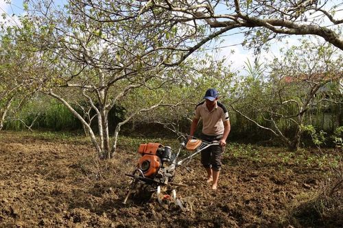 Nông dân Lào Cai tích cực thi đua lao động, sản xuất