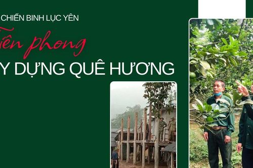 Cựu Chiến binh Lục Yên: Tiên phong xây dựng quê hương