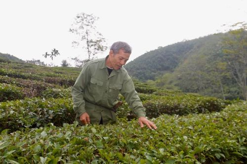 Làm giàu từ mô hình 'vườn - ao - chuồng'