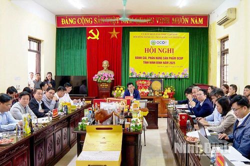 Hội nghị đánh giá, phân hạng sản phẩm OCOP tỉnh Ninh Bình năm 2025