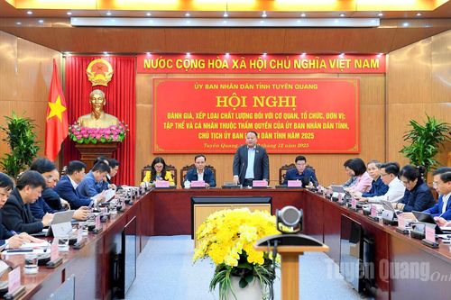 UBND tỉnh đánh giá, xếp loại chất lượng đối với cơ quan, tổ chức, đơn vị, tập thể và cá nhân