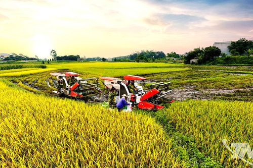 Cơ giới hóa nông nghiệp trong thời đại 4.0