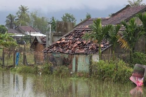 Bài 1: Phục hồi và phát triển nông nghiệp bền vững