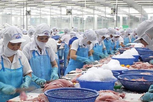 Thủy sản - 80 năm đồng hành với ngành nông nghiệp và kinh tế biển