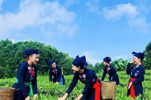 Chương trình 1322 tạo lực đẩy cho địa phương nâng cao năng suất chất lượng