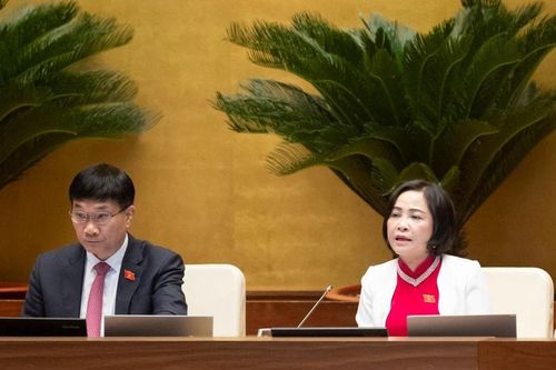 Quốc hội thông qua Nghị quyết đầu tư chương trình mục tiêu quốc gia về chăm sóc sức khỏe, dân số và phát triển