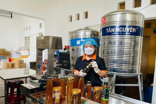 HTX là đòn bẩy sản phẩm OCOP, nâng tầm nông thôn mới Gia Lai