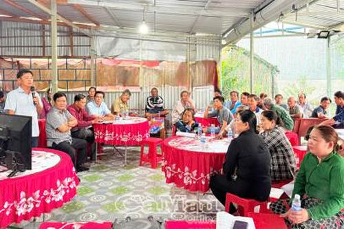 Hiệu quả sản xuất lúa chất lượng cao, phát thải thấp trong vùng lúa tôm