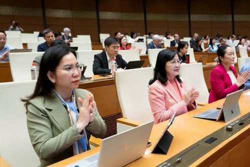 Nâng cao vai trò của hoạt động kiểm toán môi trường