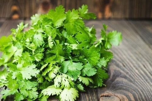 Mua nhiều rau mùi, đừng cho ngay vào tủ lạnh, thêm vài bước nữa để lâu vẫn tươi ngon tiết kiệm được cả đống tiền