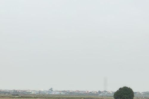 Đồng chiều cuống rạ