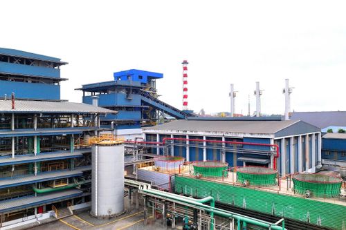 Hàng trăm triệu USD đổ về tổ hợp ép dầu đậu nành tại TP.HCM