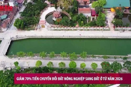 Giảm 70% tiền chuyển đổi đất nông nghiệp sang đất ở từ năm 2026