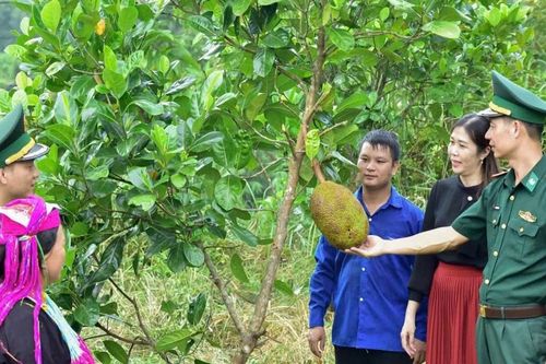 'Dân vận khéo' nơi biên cương đông bắc của Tổ quốc