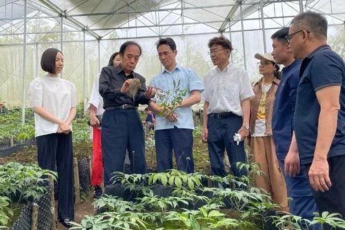 Lai Châu: Có Đảng dân ấm, dân no
