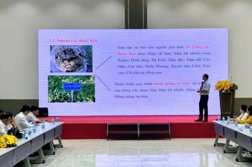 Hội nghị phổ biến các tiến bộ kỹ thuật về giống trong sản xuất nông nghiệp