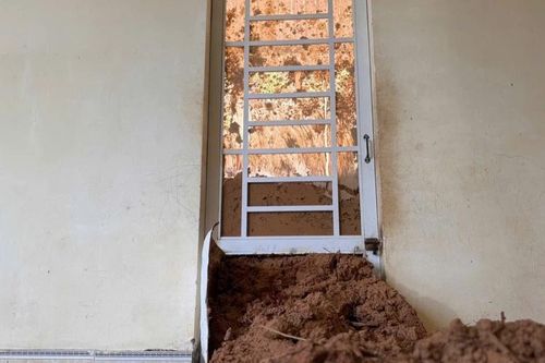 Sạt lở lan rộng tại đồi thông 35ha, cưỡng chế di dời các hộ dân ở Lâm Đồng
