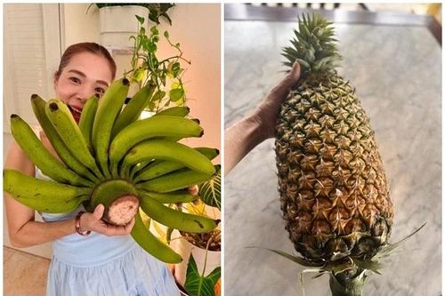 Cận cảnh 'trái cây khổng lồ' trong khu vườn hơn 10.000m2 của Mỹ Lệ